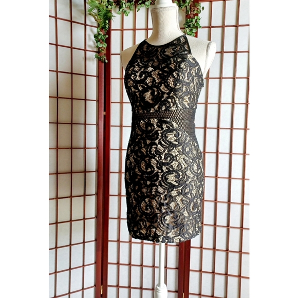 Dream ' Moon Halter Cutout Zip Back Lace Mini Dress - Picture 7 of 16